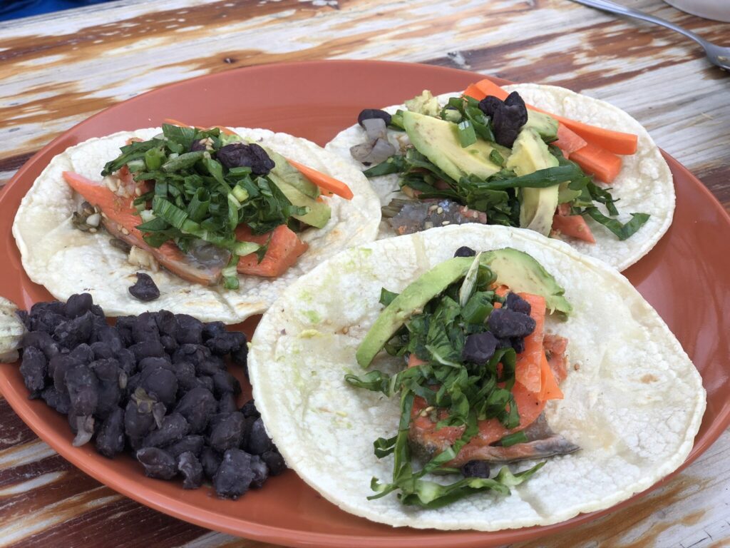 Spring Tacos Spring Salmon Tacos Recipe - Kristen Arnold and Team